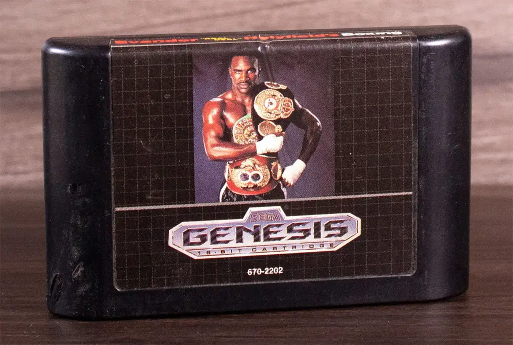 Evander Holyfield's Real Deal Boxing