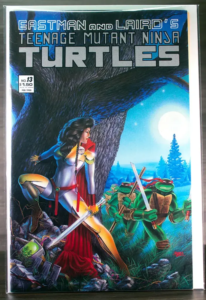 Teenage Mutant Ninja Turtles #13 (1988)